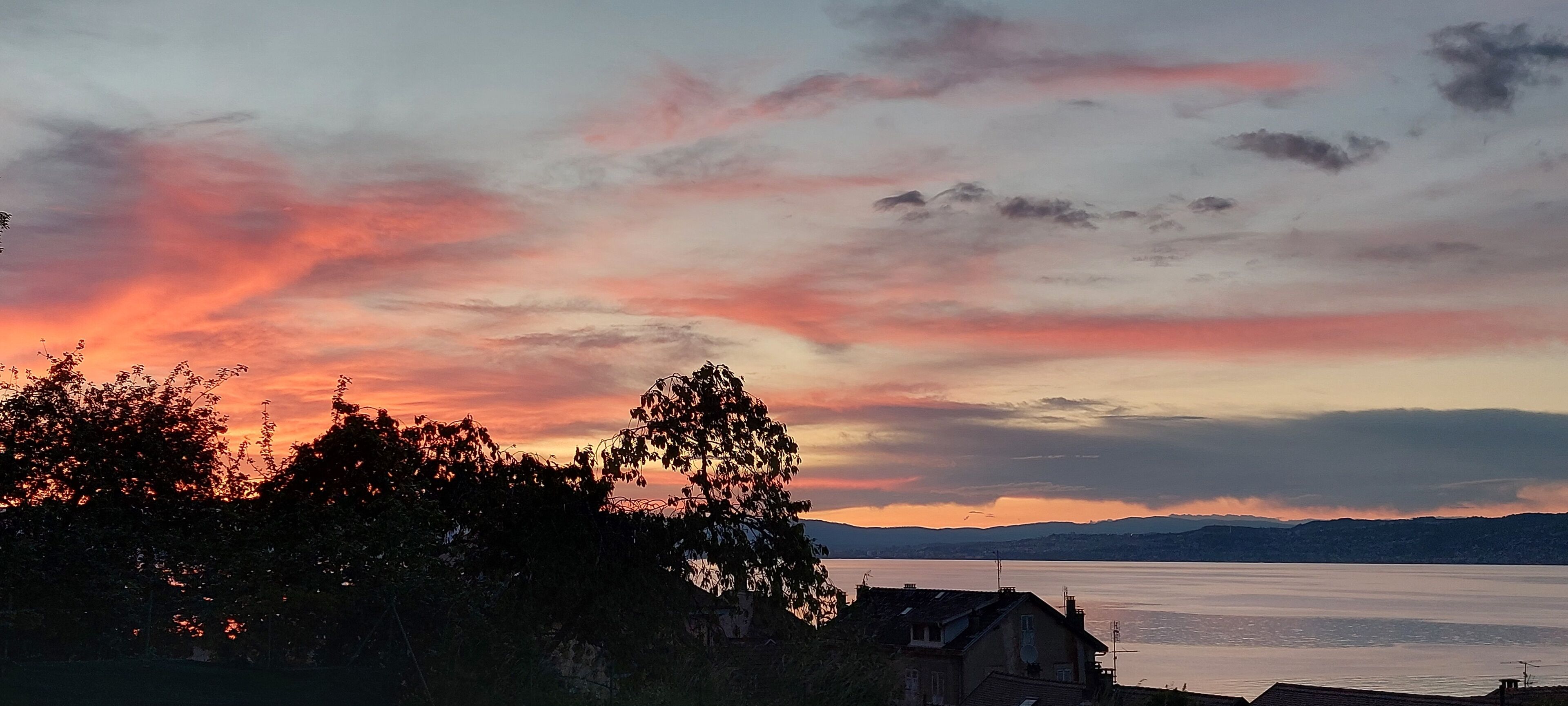 A sunset over a body of water with trees and buildings in the foreground.