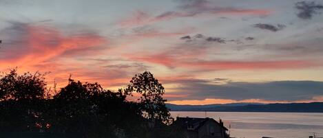 A sunset over a body of water with trees and buildings in the foreground.