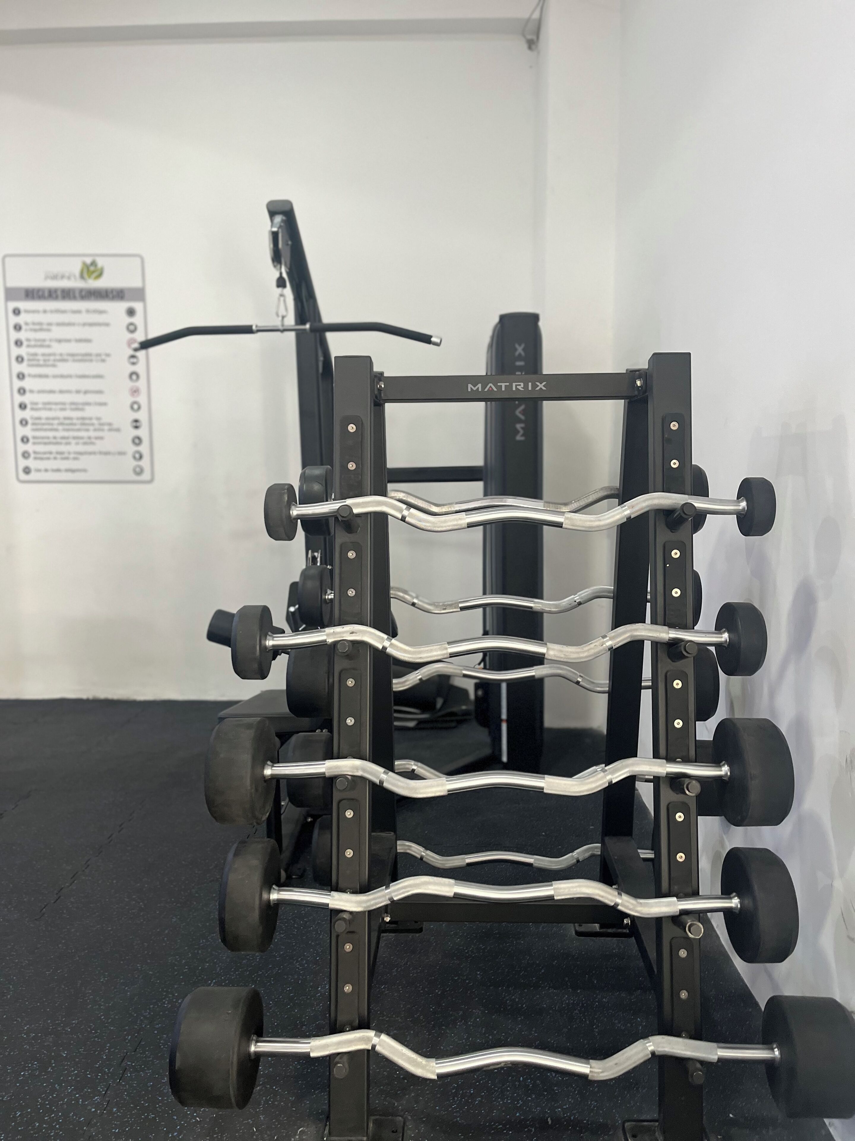 A weightlifting rack with multiple adjustable dumbbells.