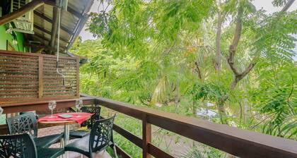 Apt Just Steps From the Beach and Tamar Project CVI