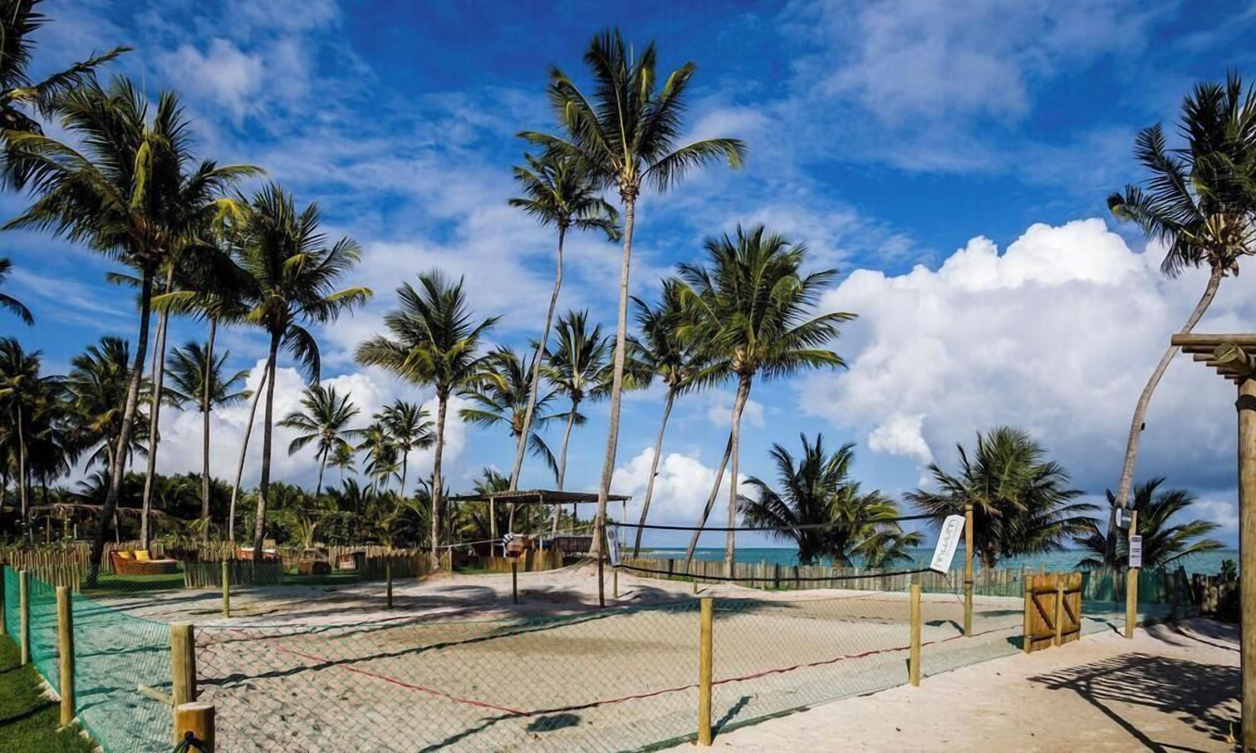 A beach volleyball court with a net, surrounded by palm trees and a clear sky.