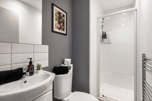 Regadera, secadora de cabello, toallas