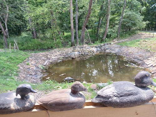 Laurentius' Cabin on a Koi Pond