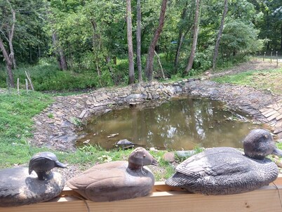 "Laurentius" cozy one room cabin on a Koi Pond