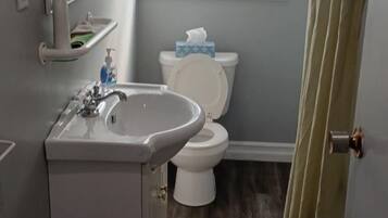 Hair dryer, towels, soap, toilet paper