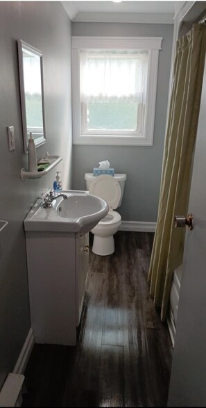 Hair dryer, towels, soap, toilet paper