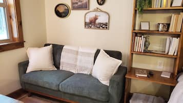 Smart TV, fireplace, books