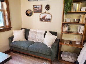 Smart TV, fireplace, books