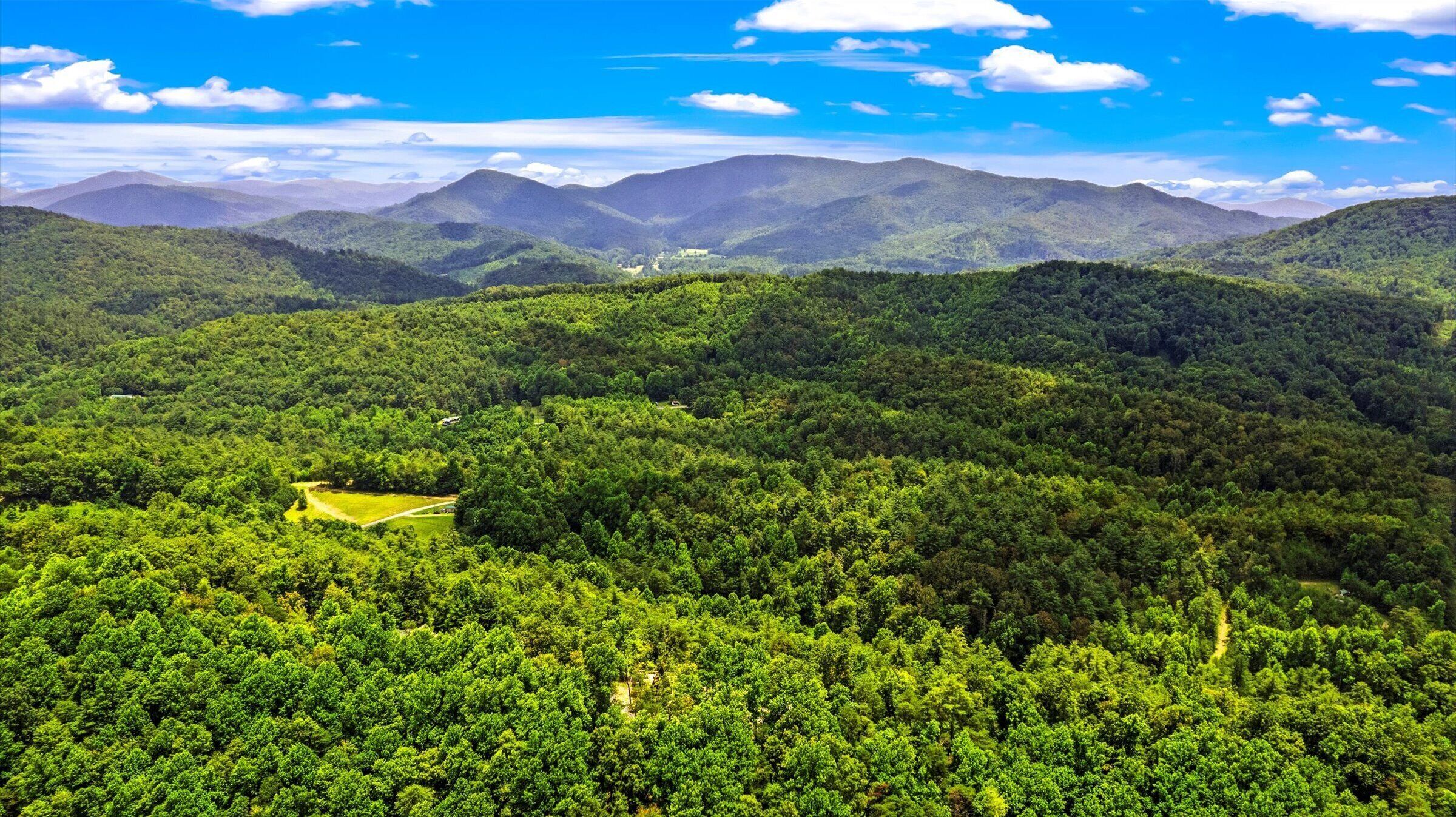 A mountainous landscape with dense forest.