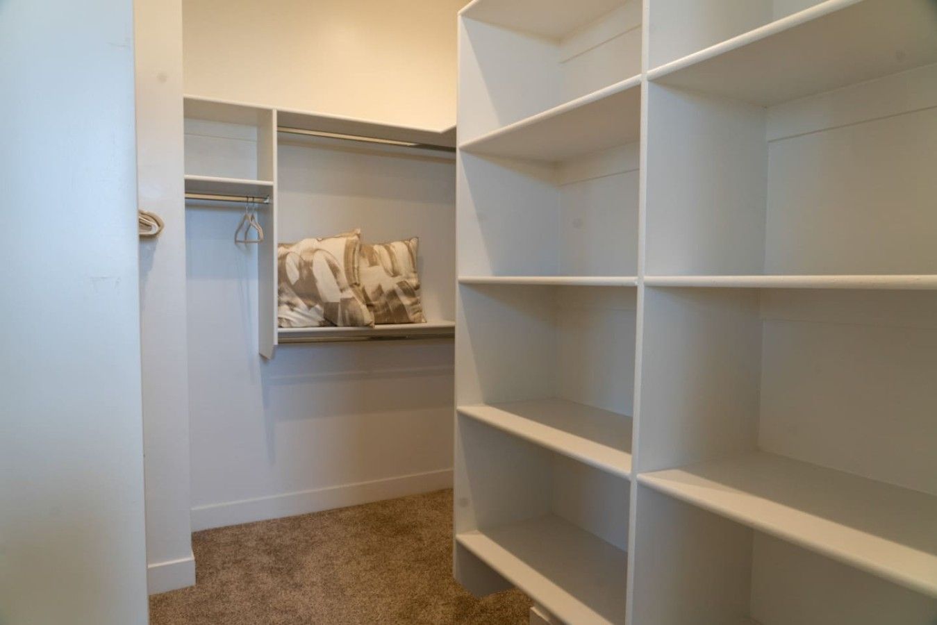 A walk-in closet with open shelving, a hanging rod, and a carpeted floor.