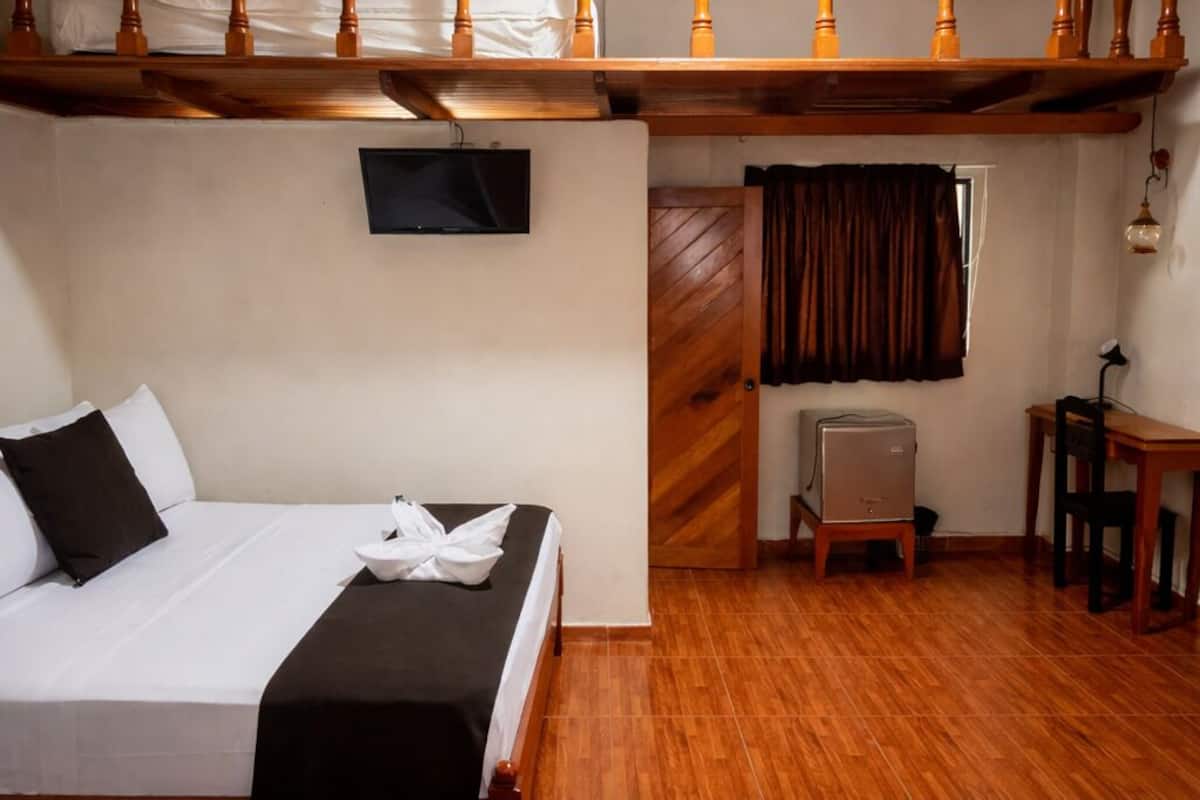 Chambre Double Standard, 2 lits doubles