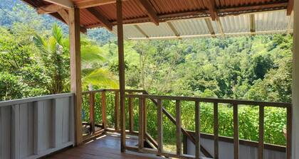 Eco-cabin in the countryside of Costa Rica