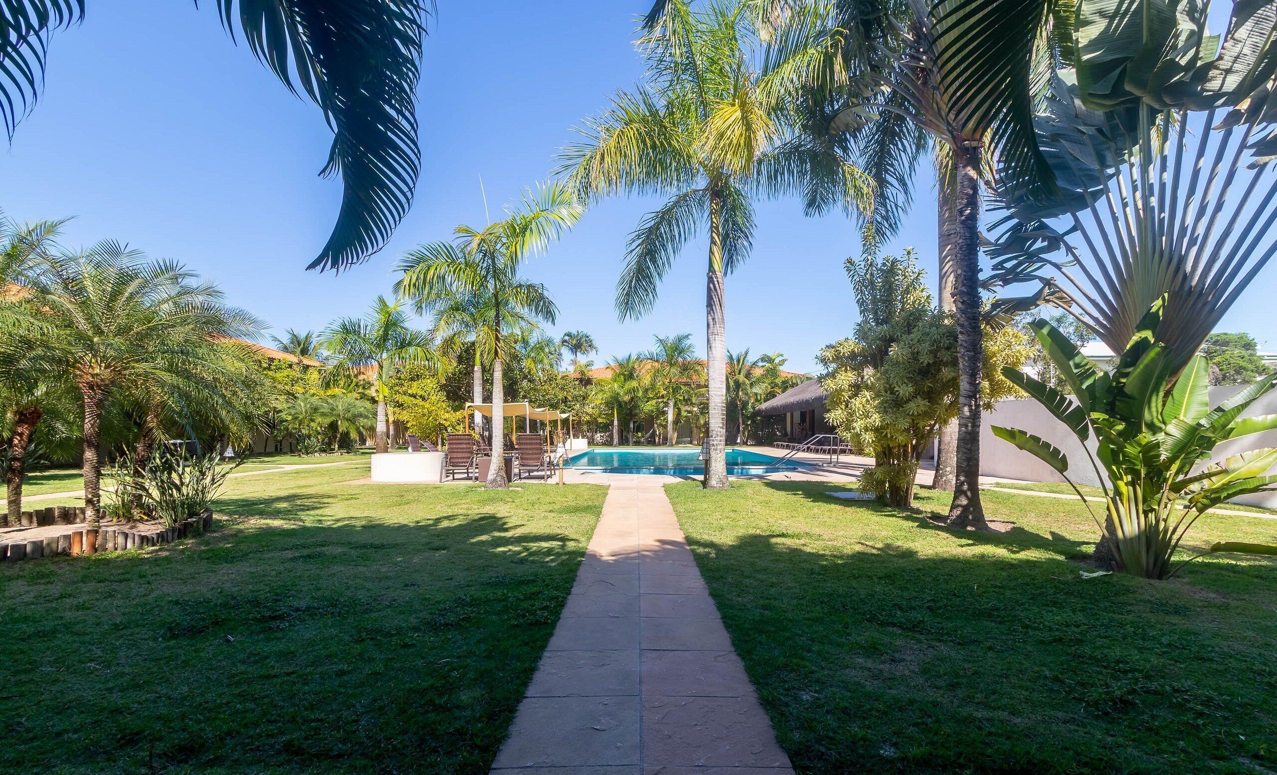 Un camino que lleva a una piscina rodeada de palmeras y césped.