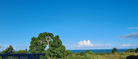 Departamento básico | Áreas de la propiedad