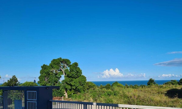 Basic Apartment | Property grounds