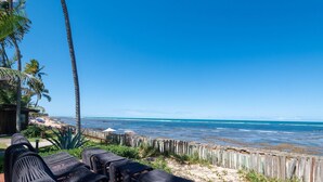 Blick auf einen Strand mit Holzlattenzaun, Liegestühlen und einer Palme.