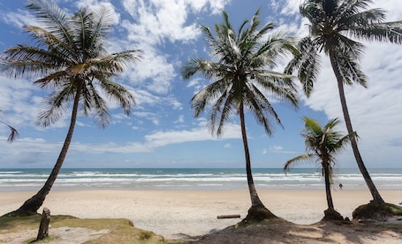 Playa. Townhouse 300m From Ilheus Beach Vcm005