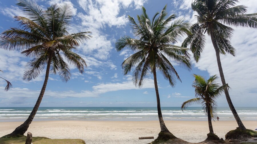 Townhouse 300m From Ilheus Beach Vcm005