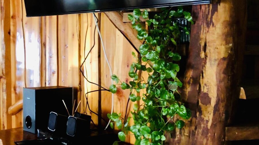 Cabañas Entre Saltos y Termas