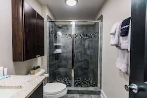 Shower, hair dryer