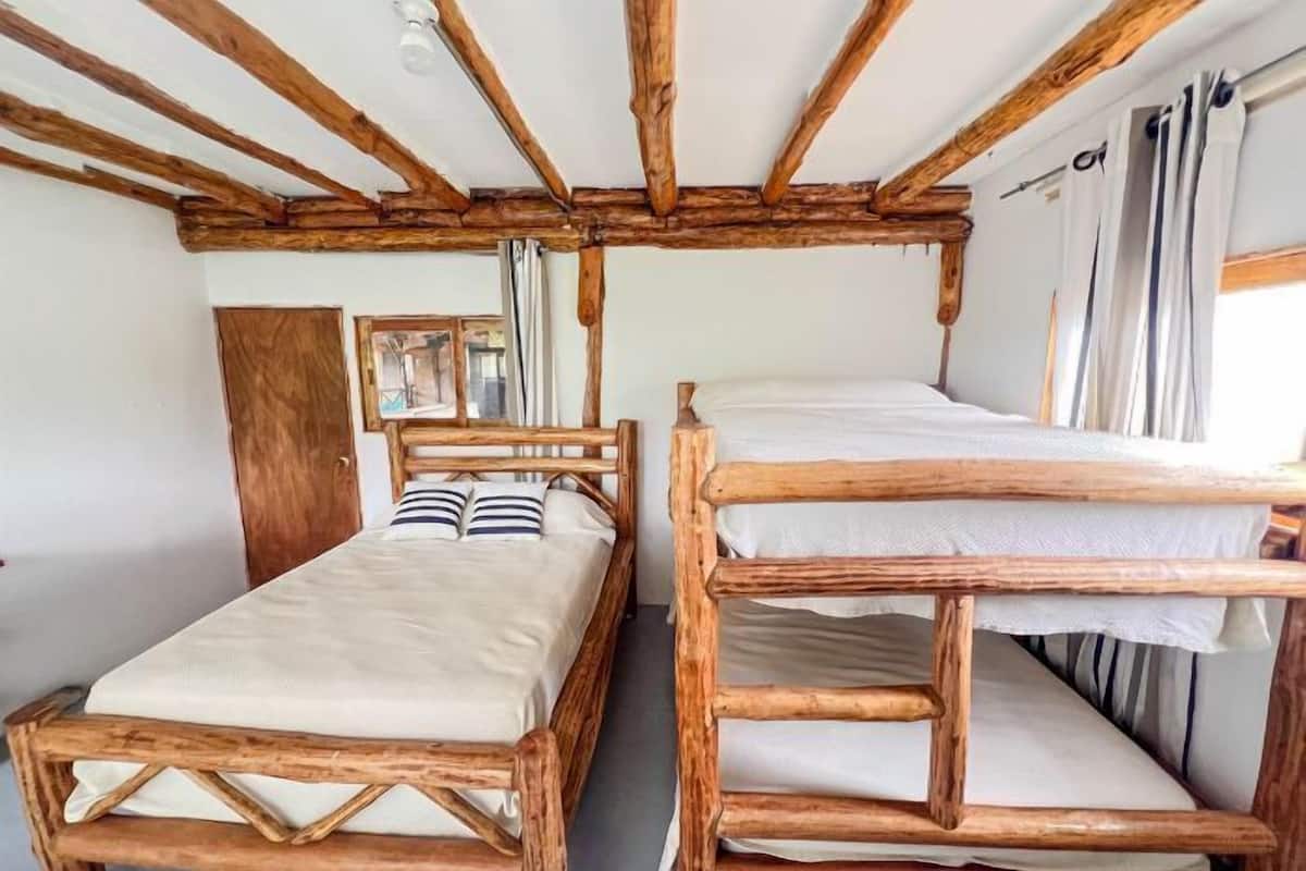 Family Studio Suite