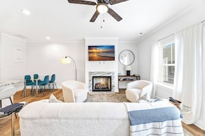 TV, fireplace, books