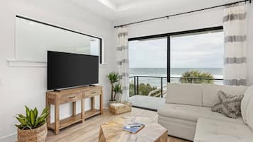 Smart TV, fireplace, books