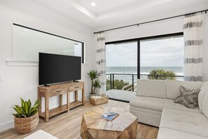 Smart TV, fireplace, books