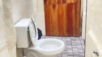 Shower, towels, soap, toilet paper