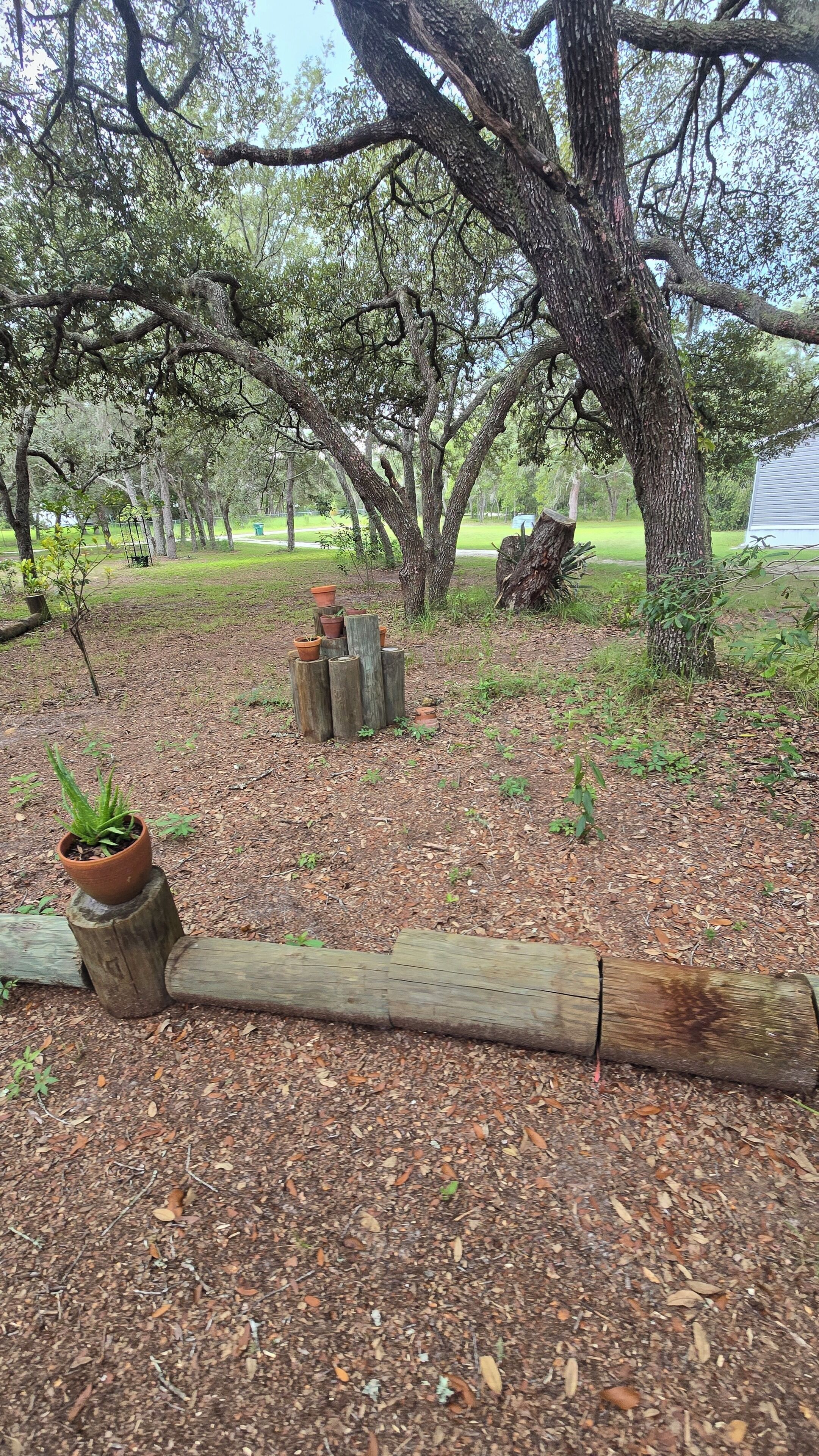 A garden area with a wooden bench, a potted plant, and a wooden post with terracotta pots.