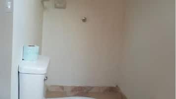 Shower, towels, soap, toilet paper
