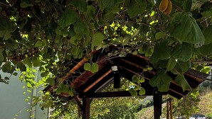 Een overdekt buitengebied met een stenen vloer, een pergola begroeid met klimplanten, en een bord dat waarschuwt voor gevaar in de buurt.