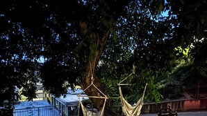 Een hangmat bevestigd aan een boom in een park.