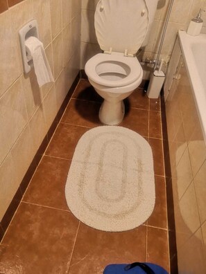 Bidet, toallas, jabón, papel de baño