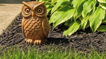 A garden with a decorative owl statue, green plants, and mulch.