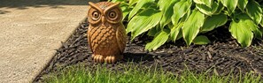 Un jardin agrémenté d’une statue de hibou décorative, de plantes vertes et d’un paillis.