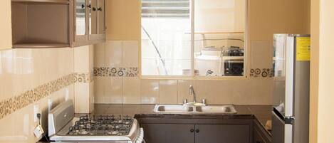 Horno y placa de cocina