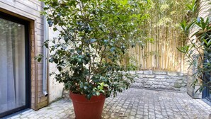Una planta en test amb un pati, una paret de pedra i una porta de fusta.