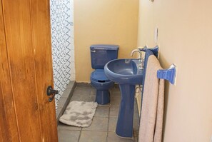 Douche, serviettes fournies, papier toilette