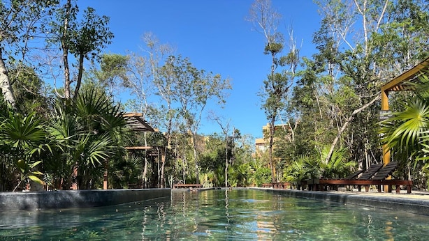 A clear pool surrounded by lush greenery and a wooden pergola. - Hermosa Villa en Tulum (Tulum)