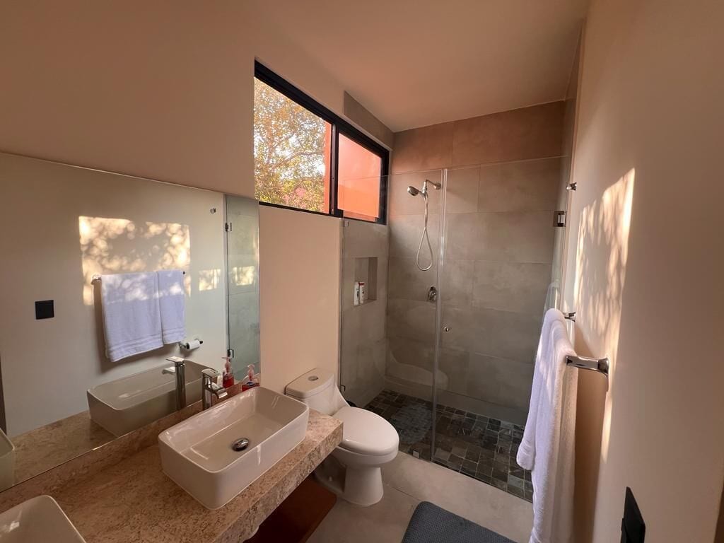 Bañera con ducha, jabón, shampoo, papel higiénico