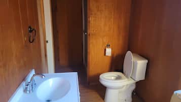 Chuveiro, toalhas de banho, sabonete, papel higiênico