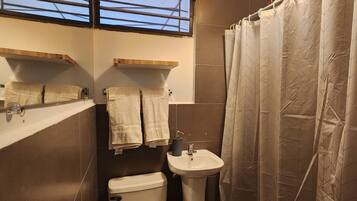 Shower, hair dryer, bidet, towels