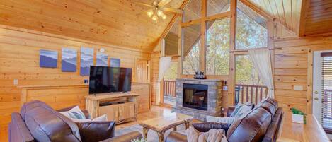 Smart TV, lareira, videogames, livros