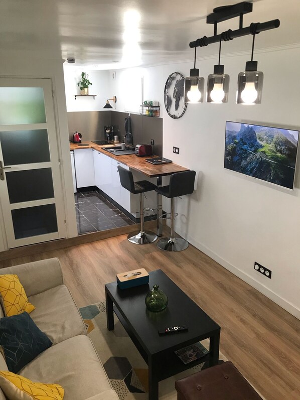 TV - Charming 25m2 studio near CDG, Asterix, sandy sea (Louvres)