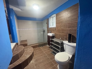 Hair dryer, soap, toilet paper
