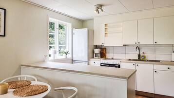 Fridge, oven, stovetop, coffee/tea maker