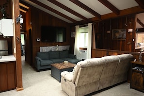 Smart TV, DVD player, books, video library