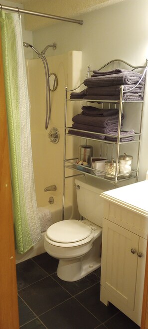 Hair dryer, towels, toilet paper - Mountain Home (Campton)