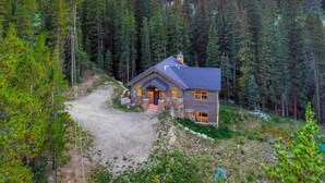 A rustic cabin surrounded by dense forest, with a clear view of the mountains in the background.